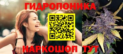 мдпв Малгобек